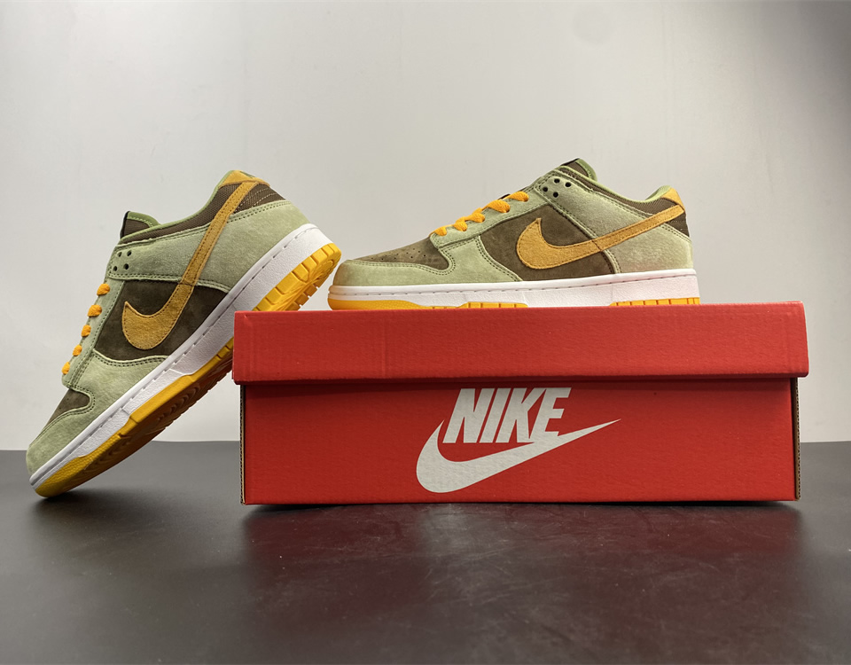 Nike Dunk Sb Low Dusty Olive Dh5360 300 19 - www.kickbulk.co