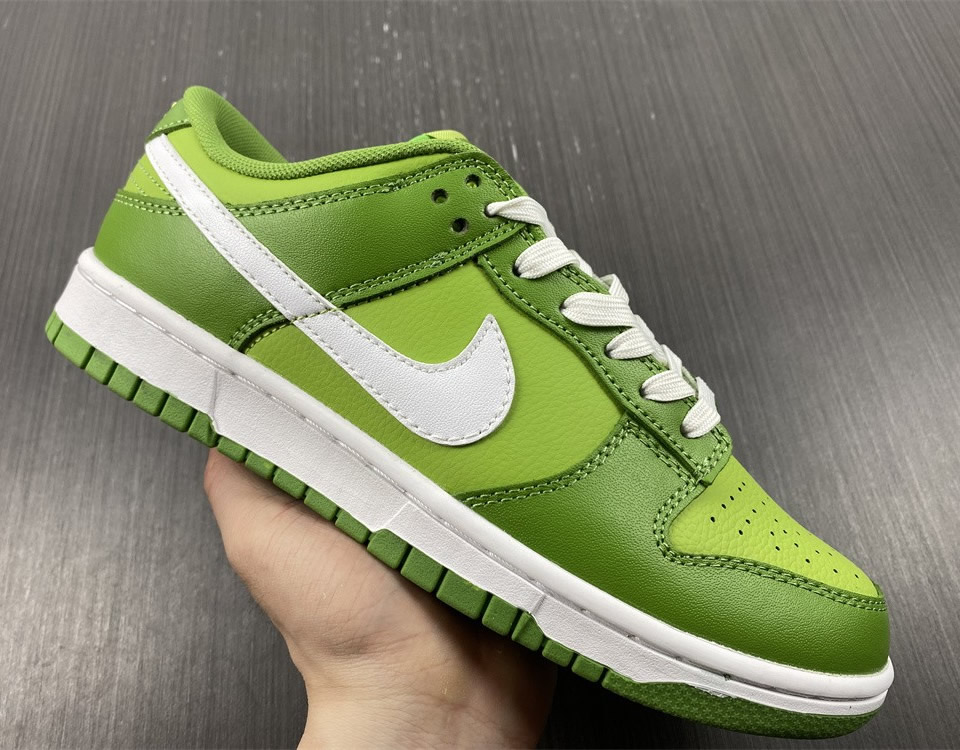 Nike Dunk Low Retro Chlorophyll Dj6188 300 10 - www.kickbulk.co