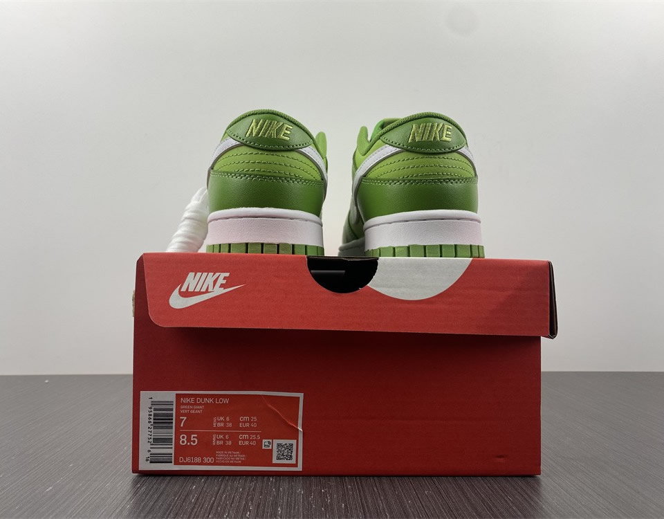 Nike Dunk Low Retro Chlorophyll Dj6188 300 14 - www.kickbulk.co