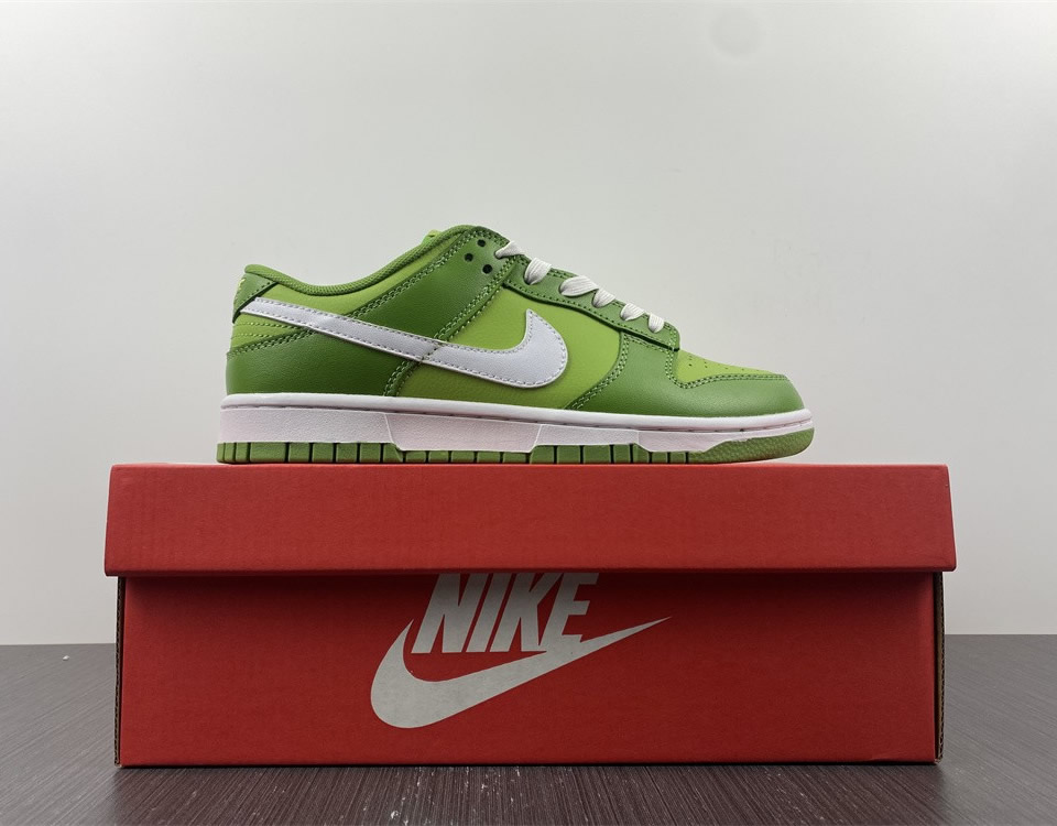 Nike Dunk Low Retro Chlorophyll Dj6188 300 15 - www.kickbulk.co