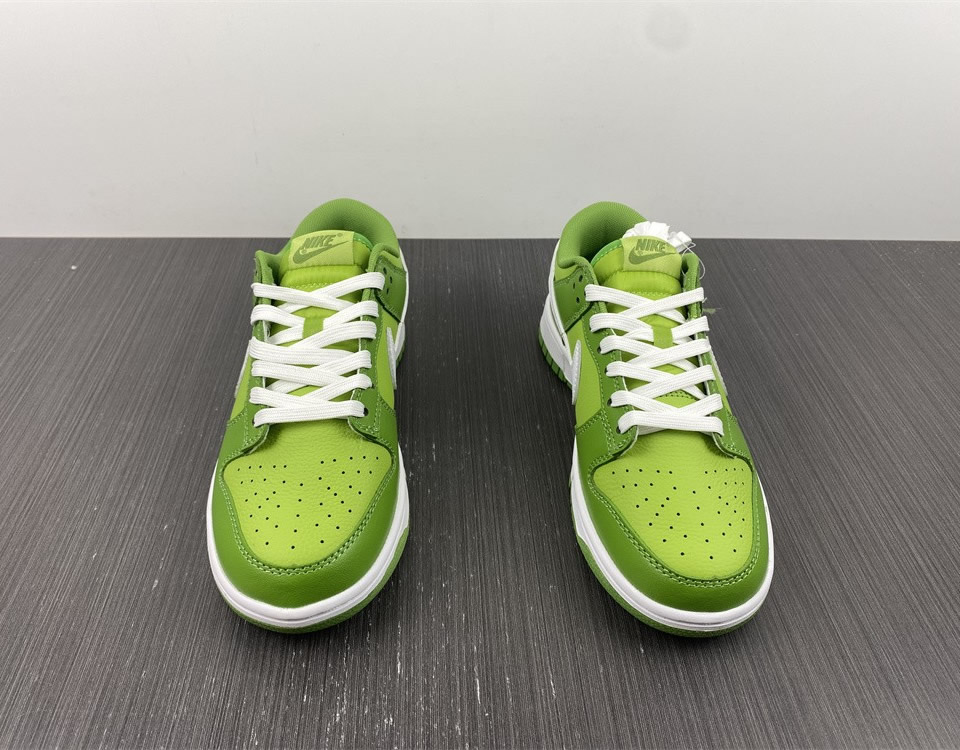 Nike Dunk Low Retro Chlorophyll Dj6188 300 9 - www.kickbulk.co