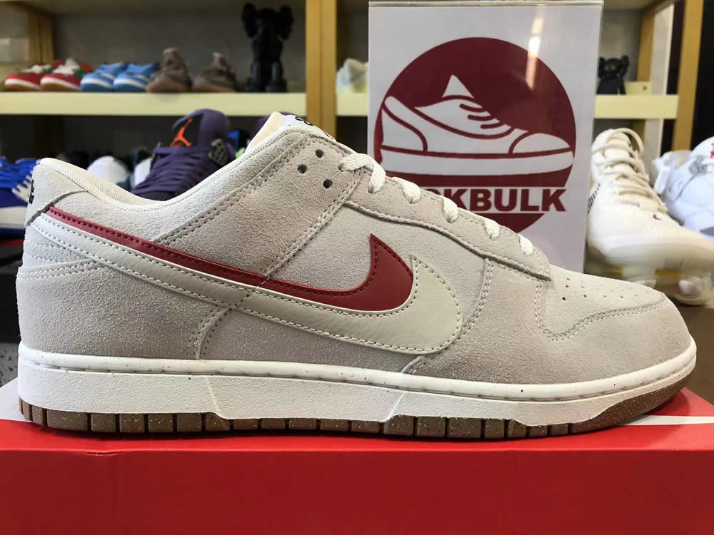 Nike Dunk Low Se 85 Do9457 100 10 - www.kickbulk.co