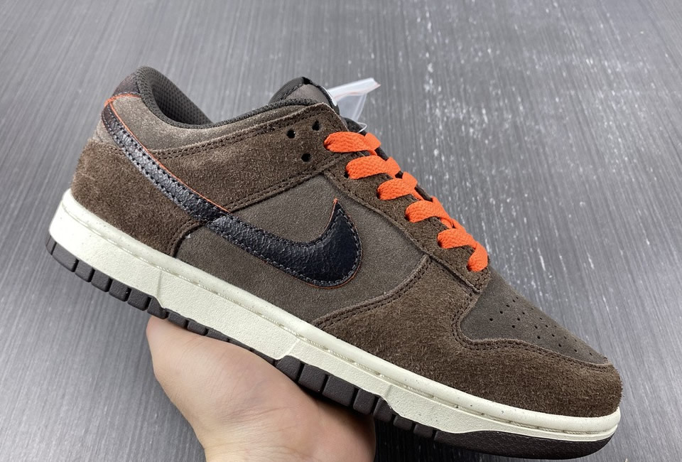 Nike Dunk Low Retro Premium Baroque Brown Dq8801 200 10 - www.kickbulk.co