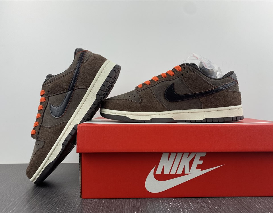 Nike Dunk Low Retro Premium Baroque Brown Dq8801 200 11 - www.kickbulk.co