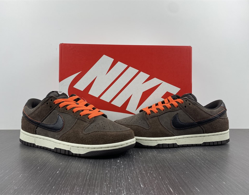 Nike Dunk Low Retro Premium Baroque Brown Dq8801 200 13 - www.kickbulk.co