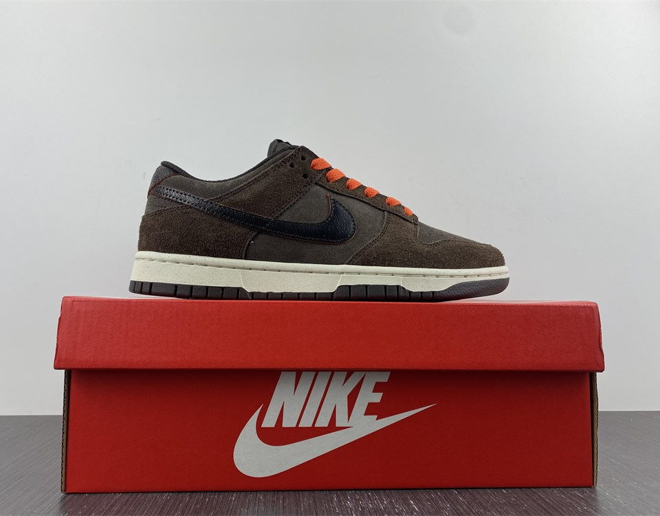 Nike Dunk Low Retro Premium Baroque Brown Dq8801 200 15 - www.kickbulk.co