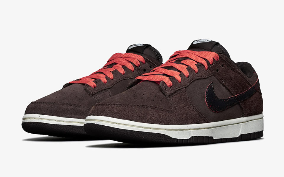 Nike Dunk Low Retro Premium Baroque Brown Dq8801 200 3 - www.kickbulk.co