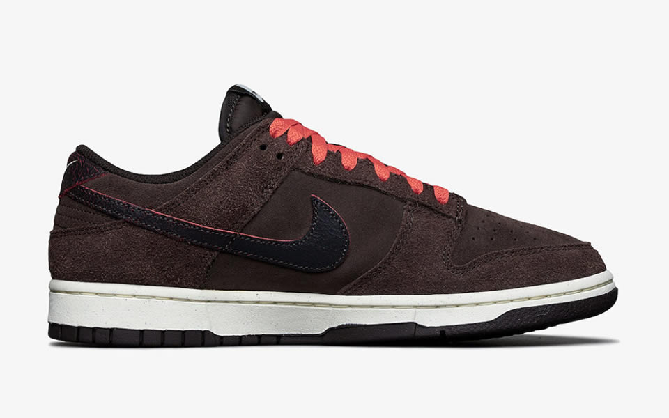 Nike Dunk Low Retro Premium Baroque Brown Dq8801 200 5 - www.kickbulk.co