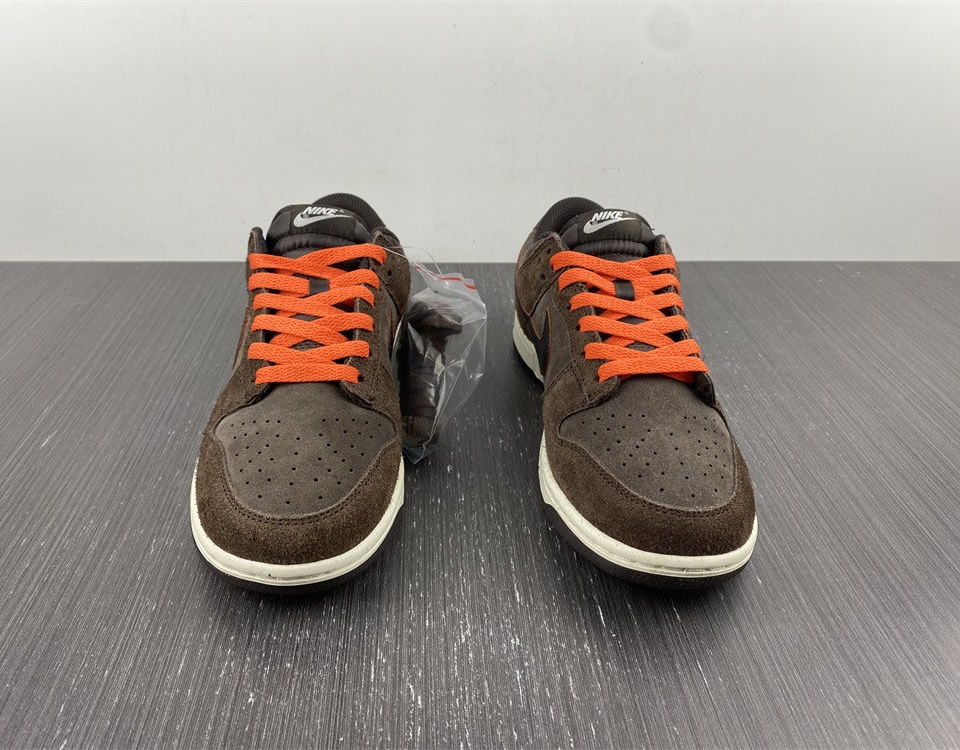 Nike Dunk Low Retro Premium Baroque Brown Dq8801 200 8 - www.kickbulk.co