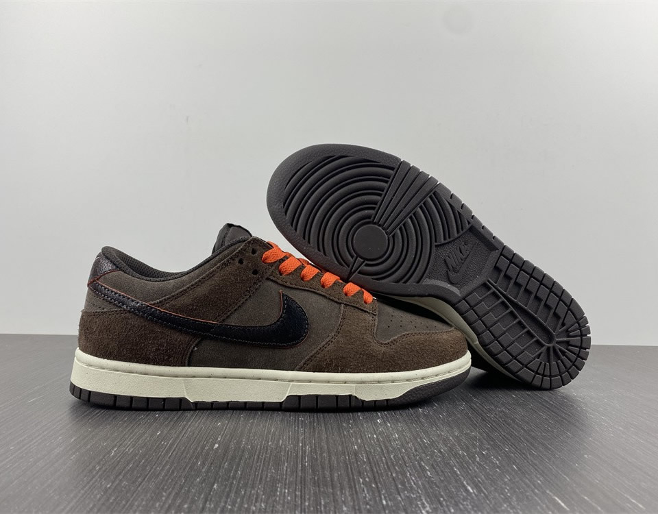 Nike Dunk Low Retro Premium Baroque Brown Dq8801 200 9 - www.kickbulk.co