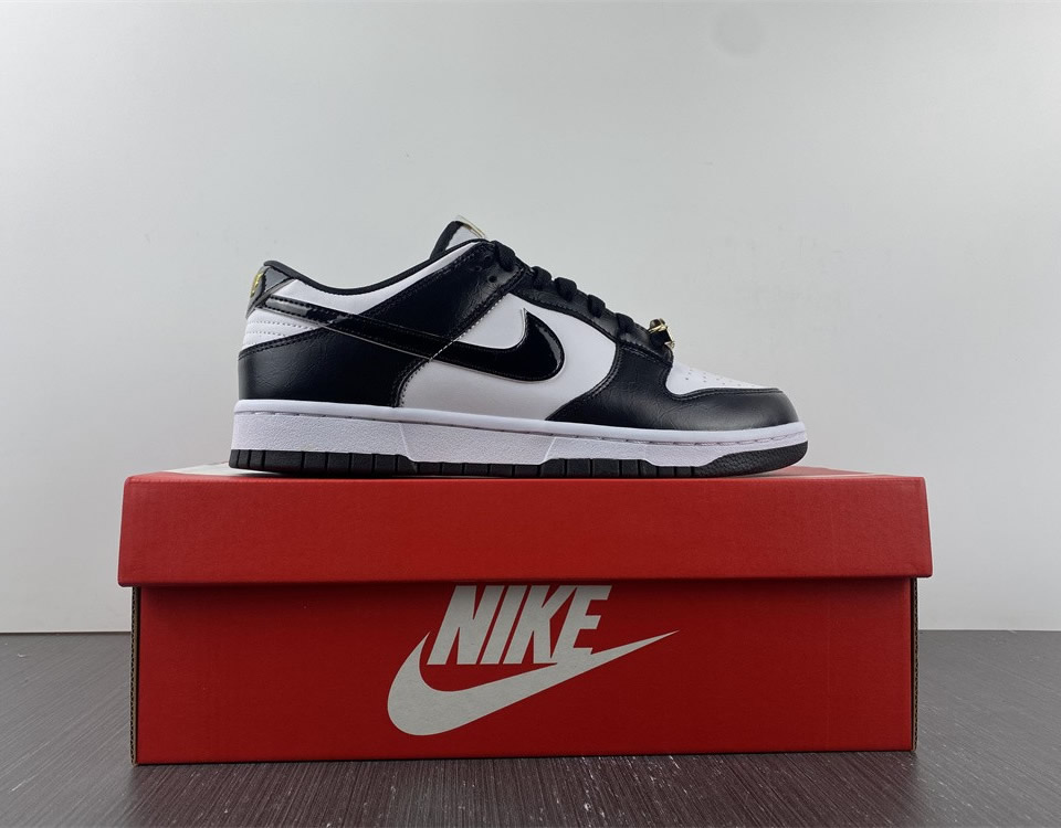 Nike Dunk Low World Champ Dr9511 100 15 - www.kickbulk.co