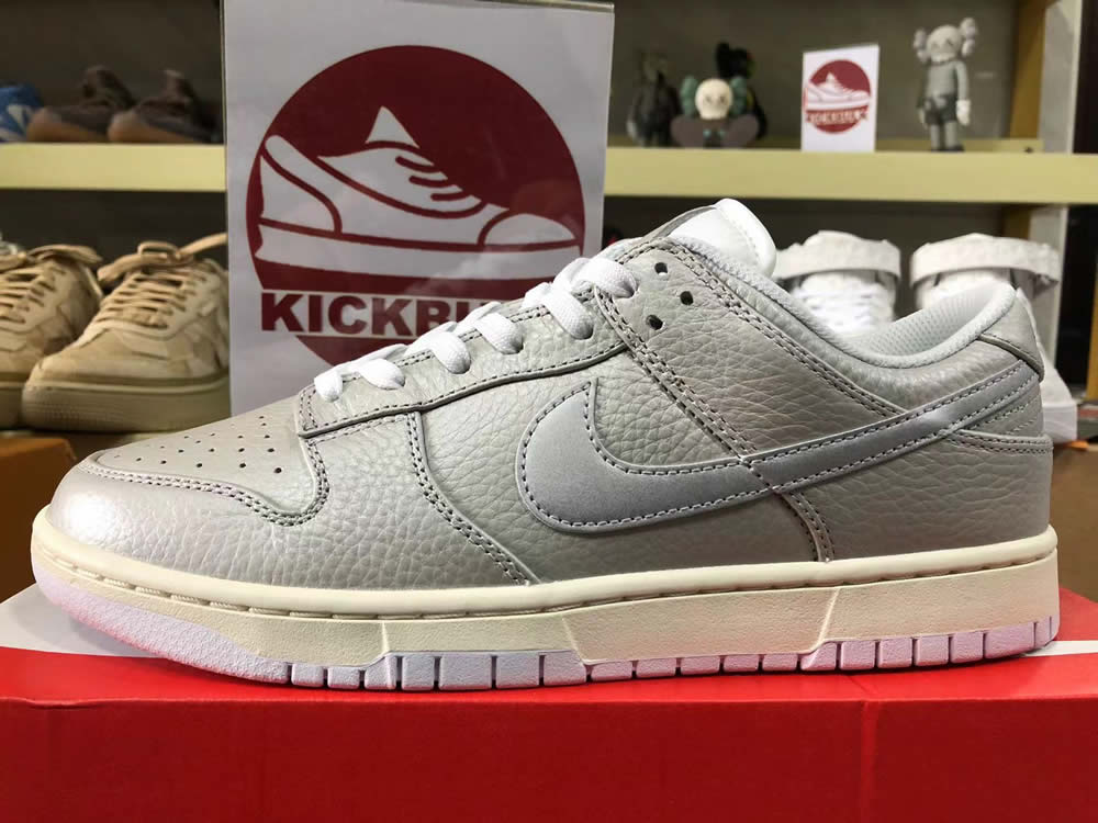 Nike Dunk Low Se Metallic Silver Dx3197 095 13 - www.kickbulk.co