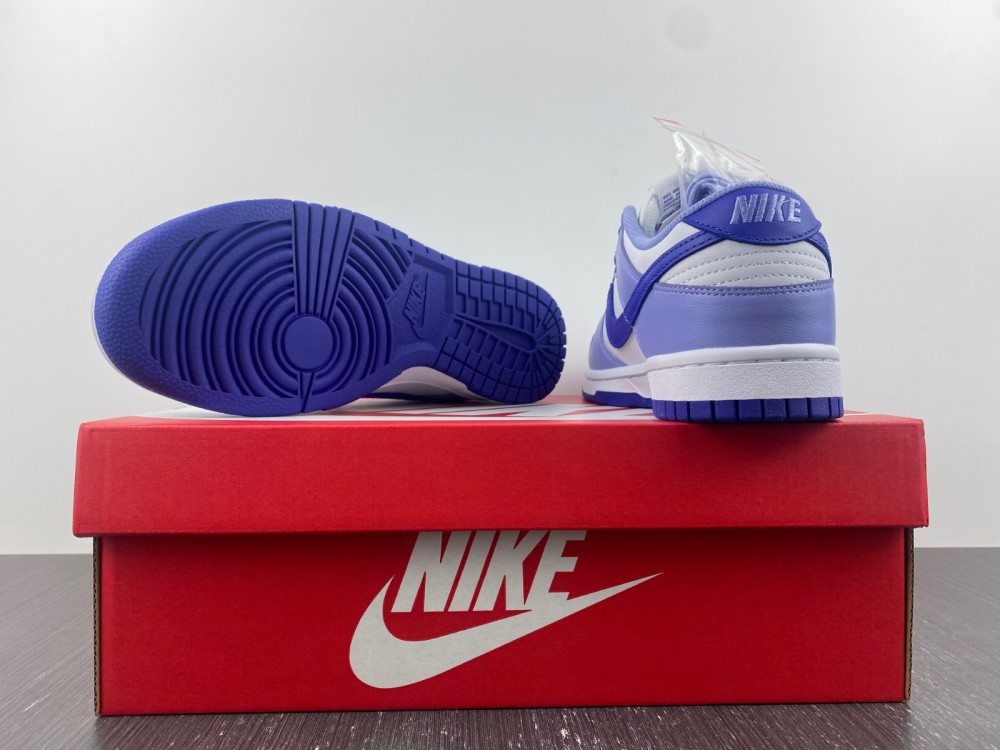 Nike Dunk Low Gs Blueberry Dz4456 100 13 - www.kickbulk.co