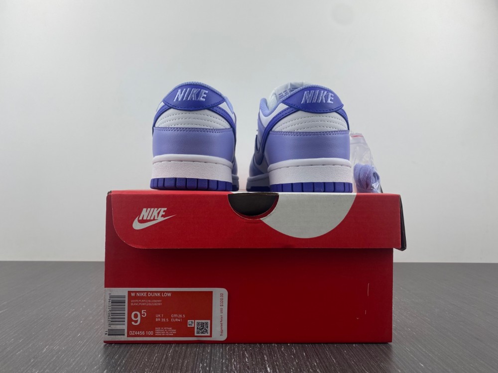 Nike Dunk Low Gs Blueberry Dz4456 100 14 - www.kickbulk.co