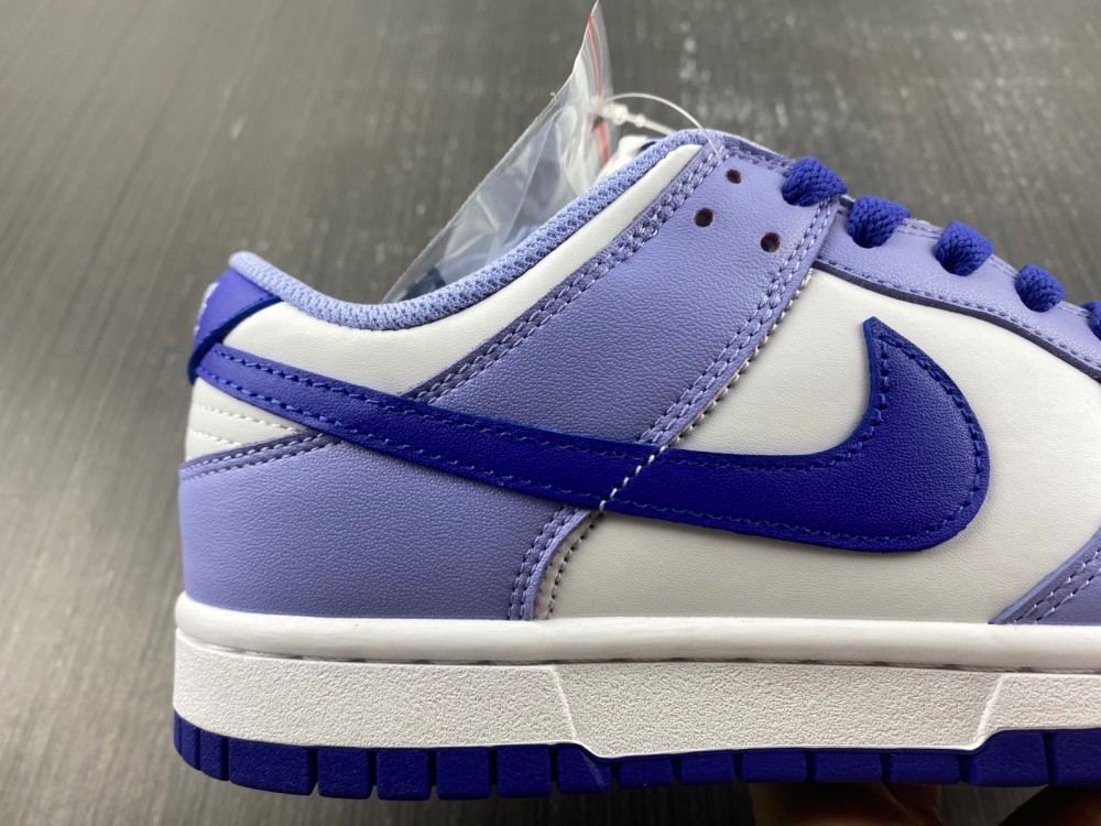 Nike Dunk Low Gs Blueberry Dz4456 100 16 - www.kickbulk.co