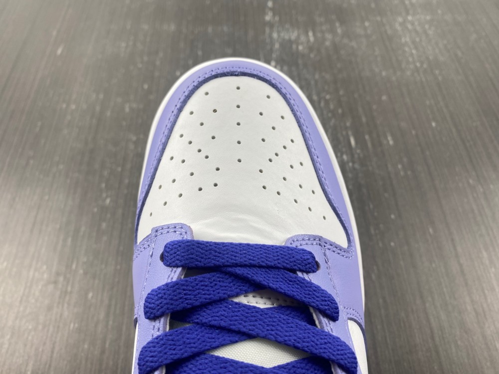 Nike Dunk Low Gs Blueberry Dz4456 100 19 - www.kickbulk.co