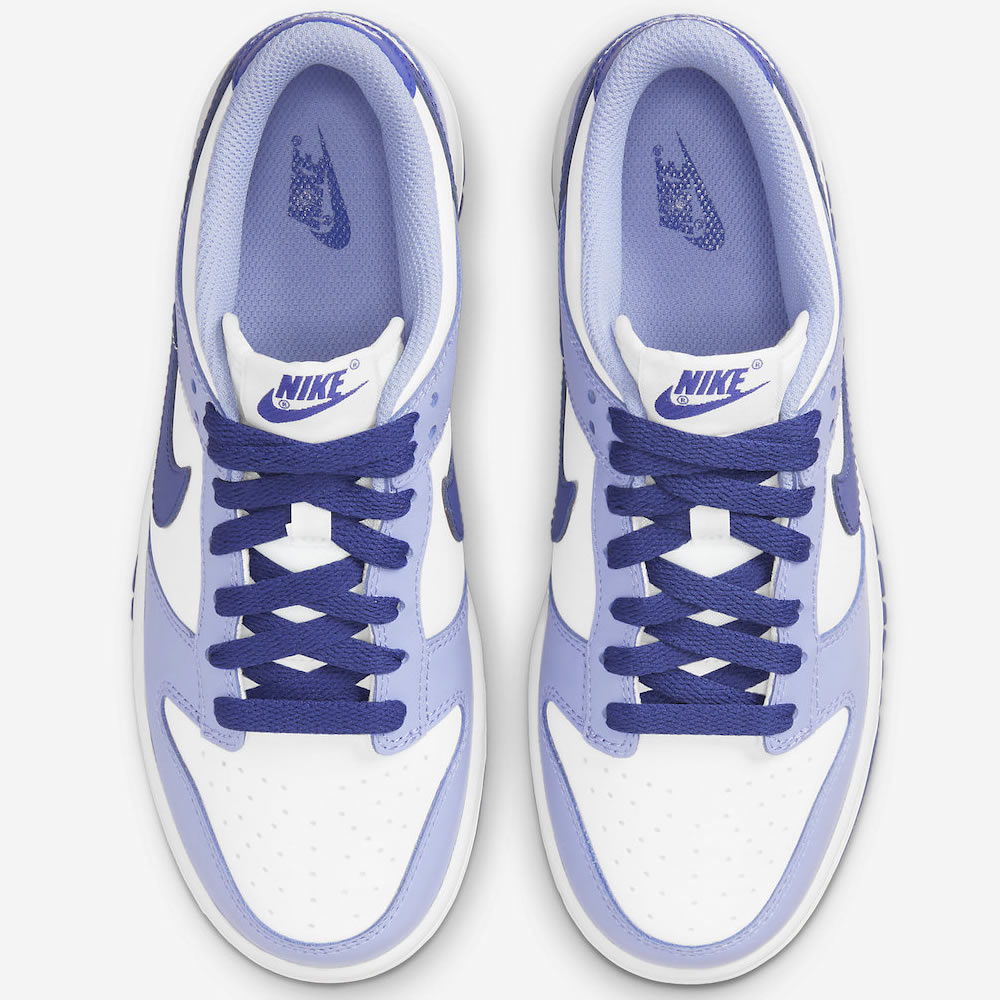 Nike Dunk Low Gs Blueberry Dz4456 100 2 - www.kickbulk.co