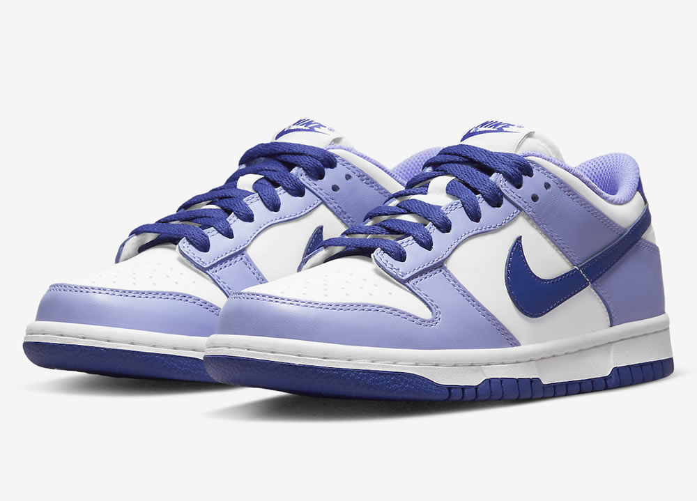 Nike Dunk Low Gs Blueberry Dz4456 100 3 - www.kickbulk.co