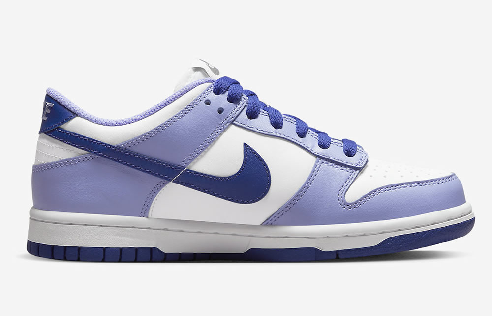 Nike Dunk Low Gs Blueberry Dz4456 100 5 - www.kickbulk.co