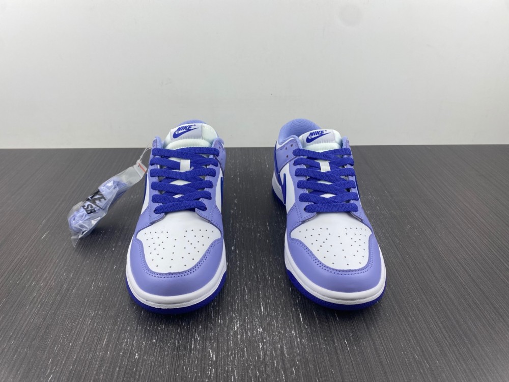 Nike Dunk Low Gs Blueberry Dz4456 100 7 - www.kickbulk.co