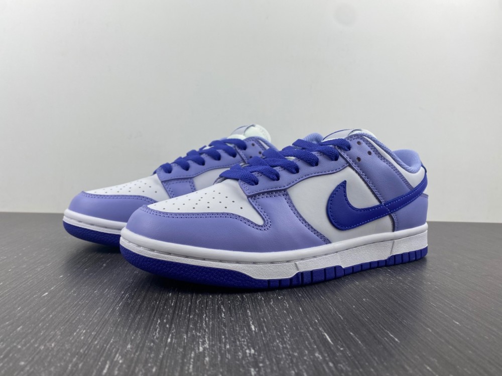 Nike Dunk Low Gs Blueberry Dz4456 100 8 - www.kickbulk.co