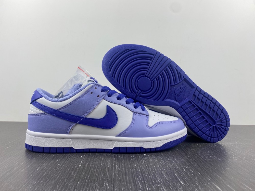 Nike Dunk Low Gs Blueberry Dz4456 100 9 - www.kickbulk.co