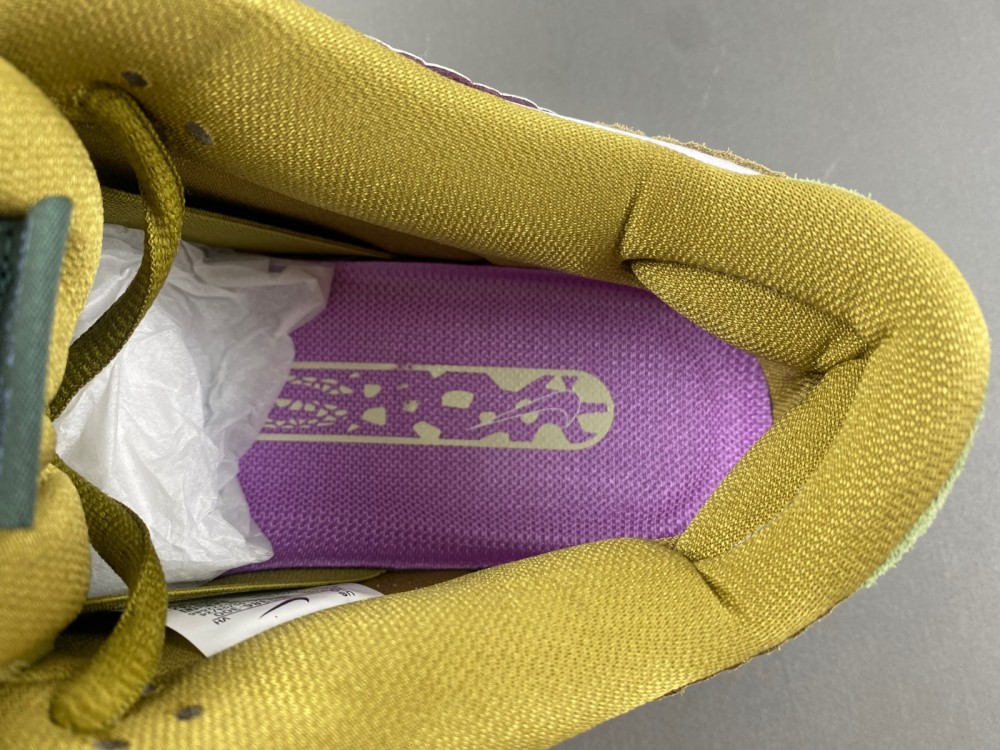 Alexis Sablone Dunk Low Sb Chameleon Hj3386 300 18 - www.kickbulk.co