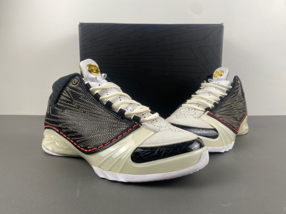 Titan Air Jordan 23 Retro Sp 10th Anniversary Cz6222 001 12 - www.kickbulk.co