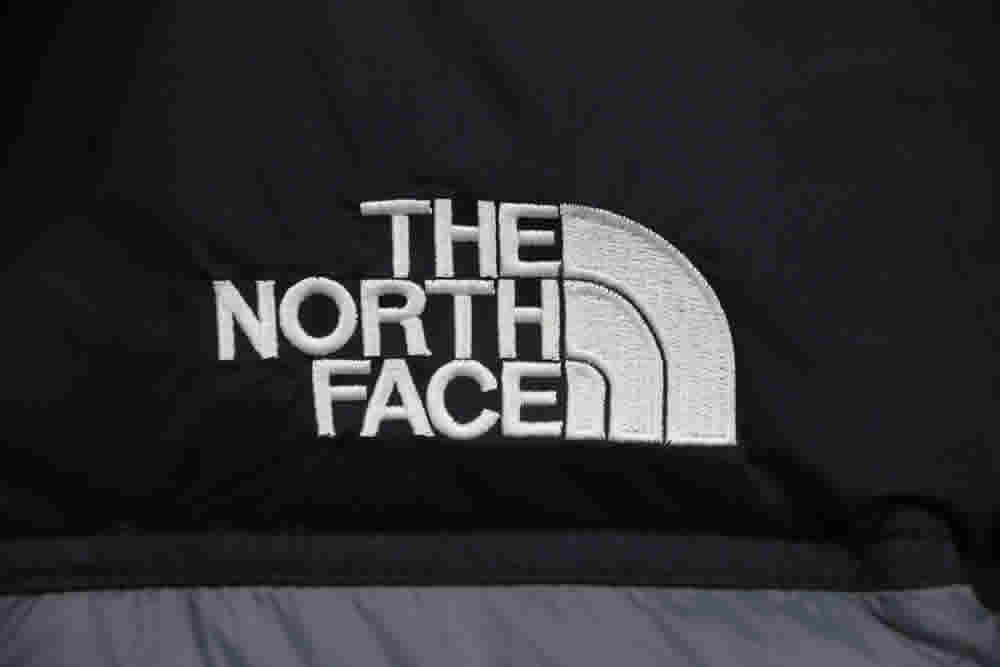 Invincible The North Face Down Jacket 15 - www.kickbulk.co