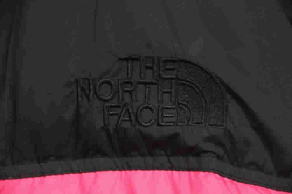 Invincible The North Face Down Jacket 18 - www.kickbulk.co
