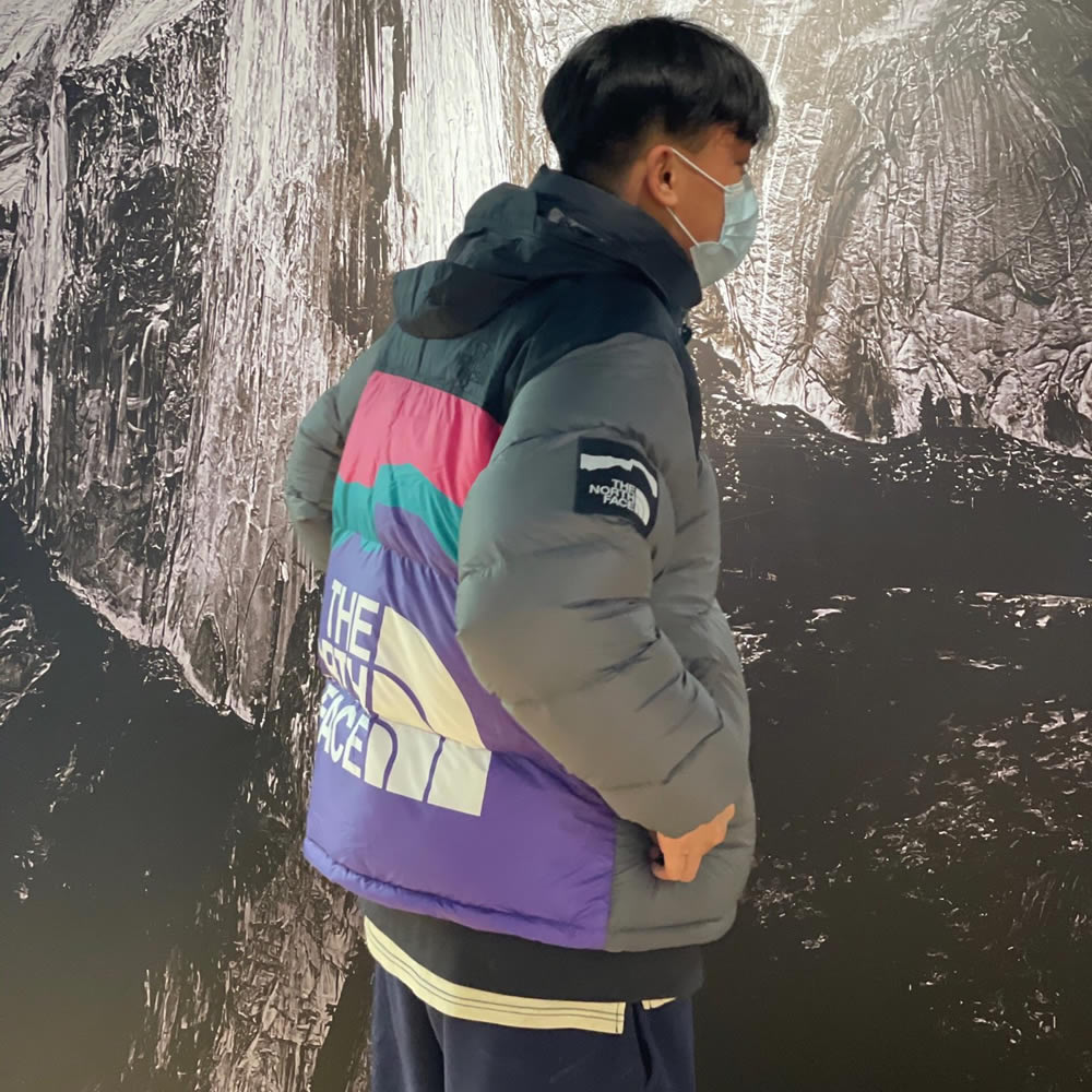 Invincible The North Face Down Jacket 4 - www.kickbulk.co