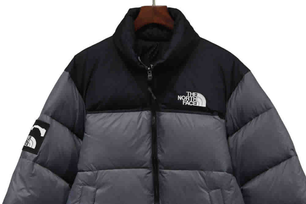 INVINCIBLE x The North Face Down Jacket