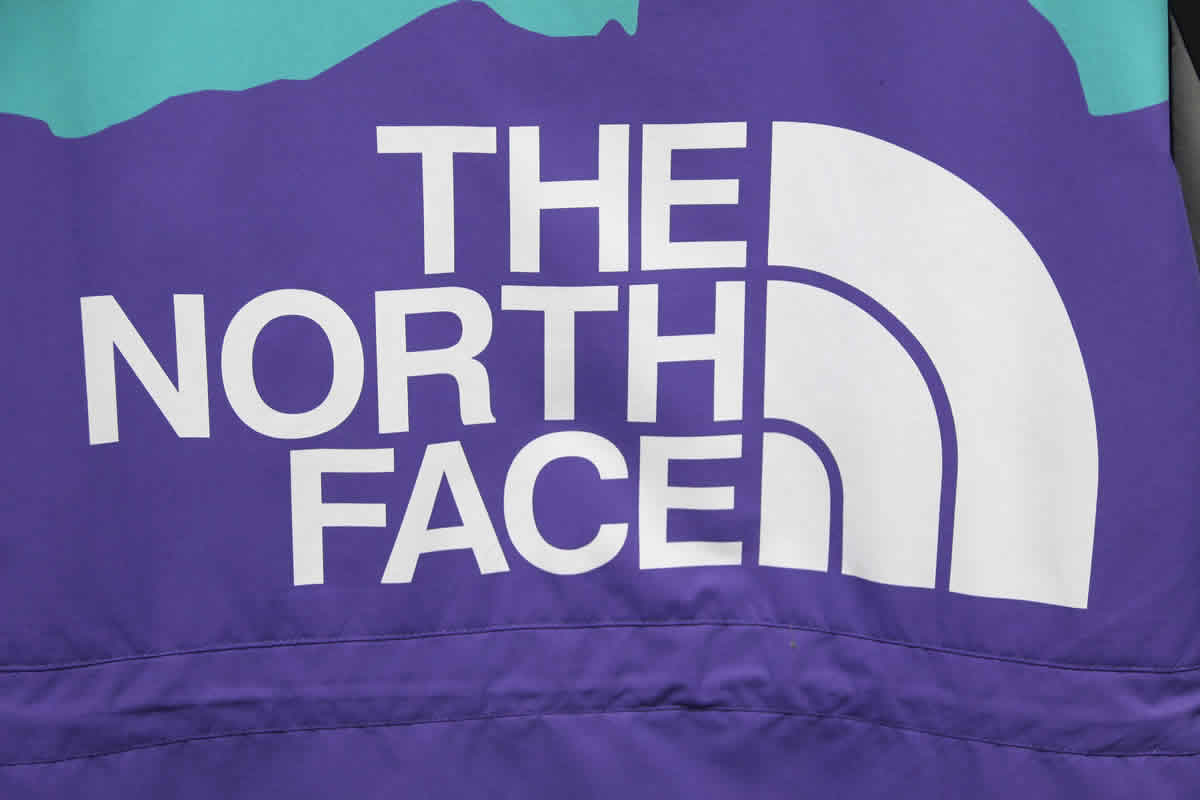 The North Face Invincible Vol 2 Mountain Light Jacket 13 - www.kickbulk.co