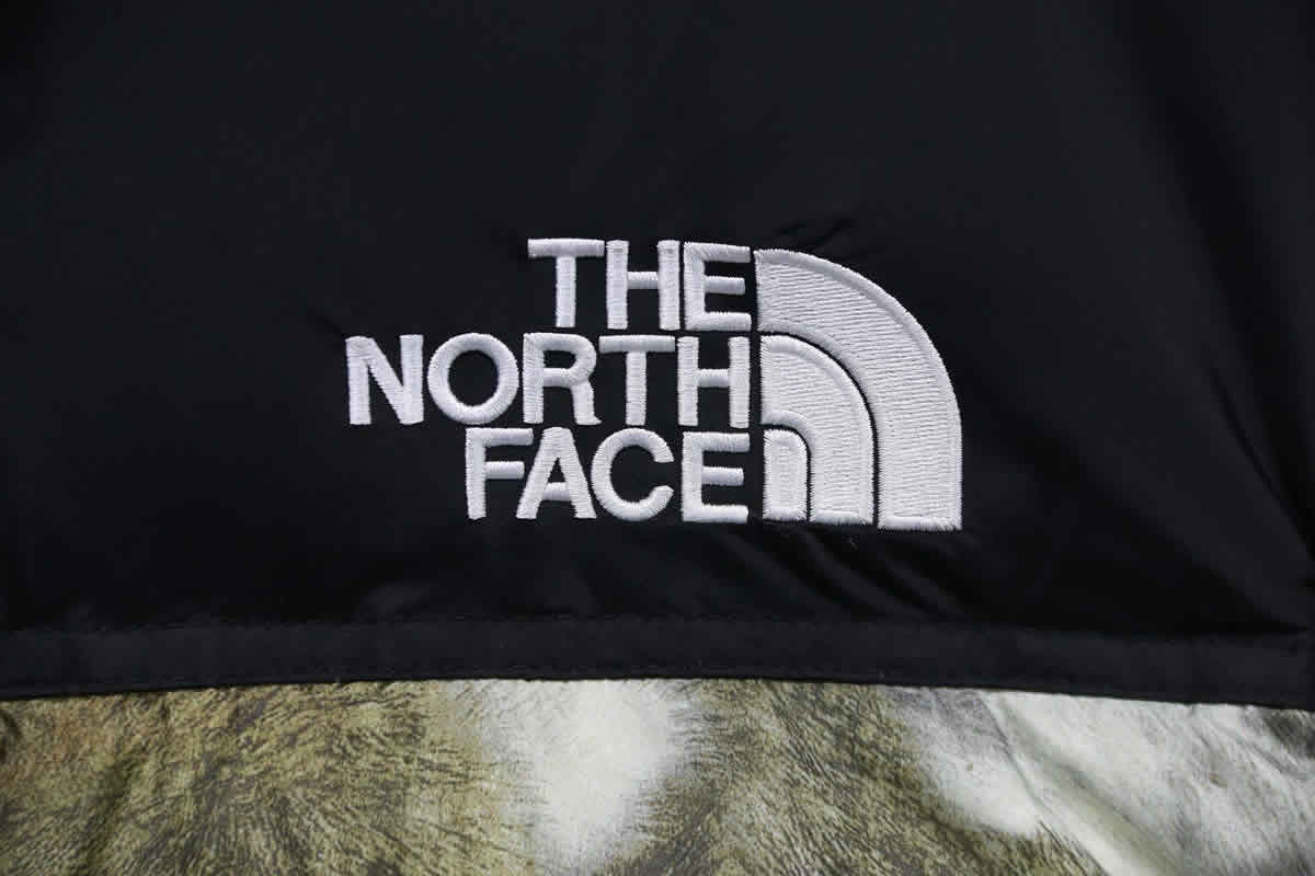 Supreme The North Face Horse Hair Down Jacket 16 - www.kickbulk.co