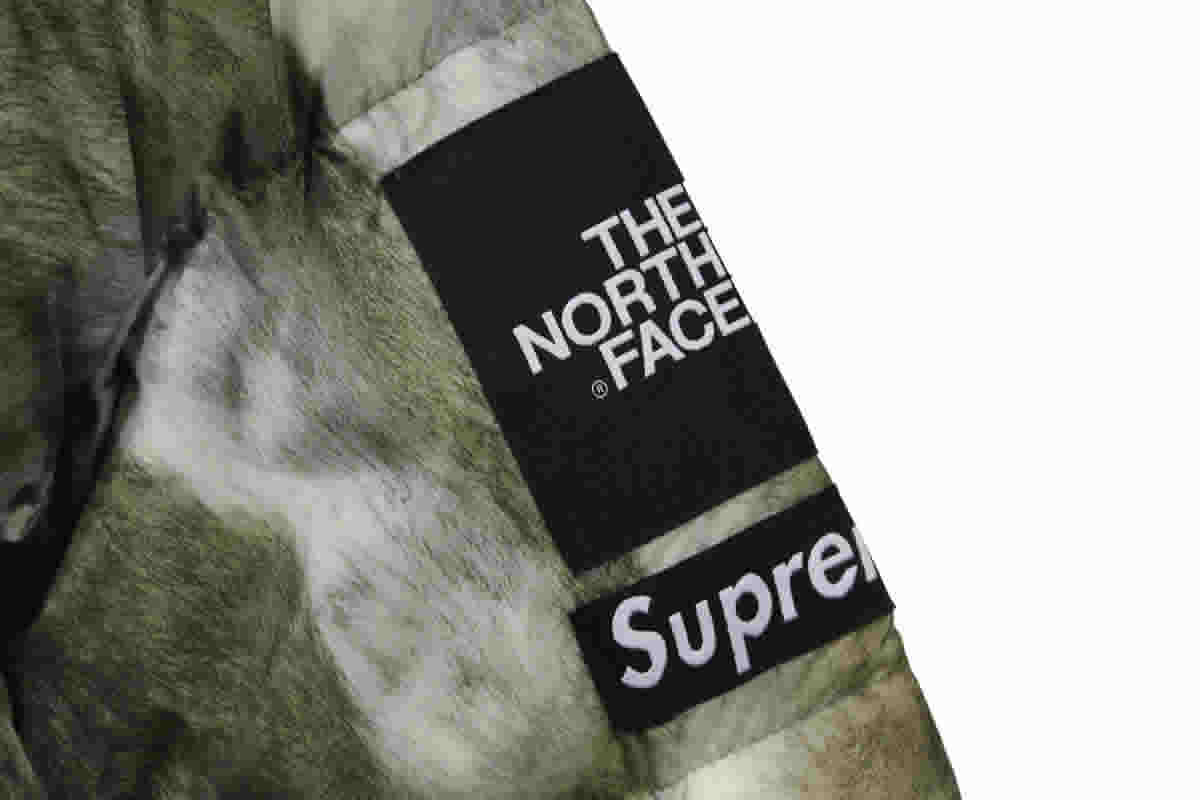 Supreme The North Face Horse Hair Down Jacket 9 - www.kickbulk.co