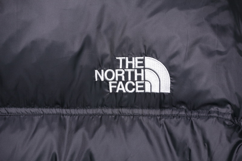 THE NORTH FACE x DSM 15th anniversary Down Jacket