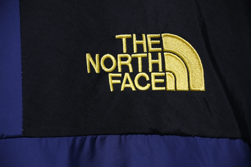 Brain Dead The North Face Jacket 10 - www.kickbulk.co