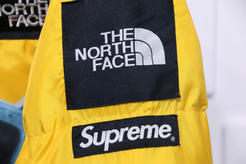 Supreme The North Face Liberty Goddess Down Jacket 13 - www.kickbulk.co