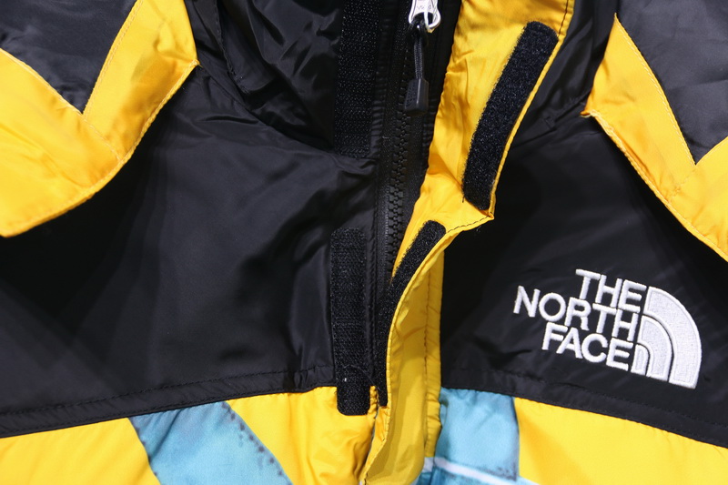 Supreme The North Face Liberty Goddess Down Jacket 15 - www.kickbulk.co