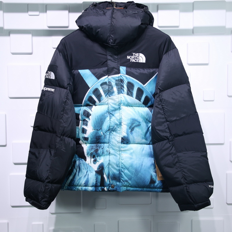 Supreme The North Face Liberty Goddess Down Jacket 18 - www.kickbulk.co