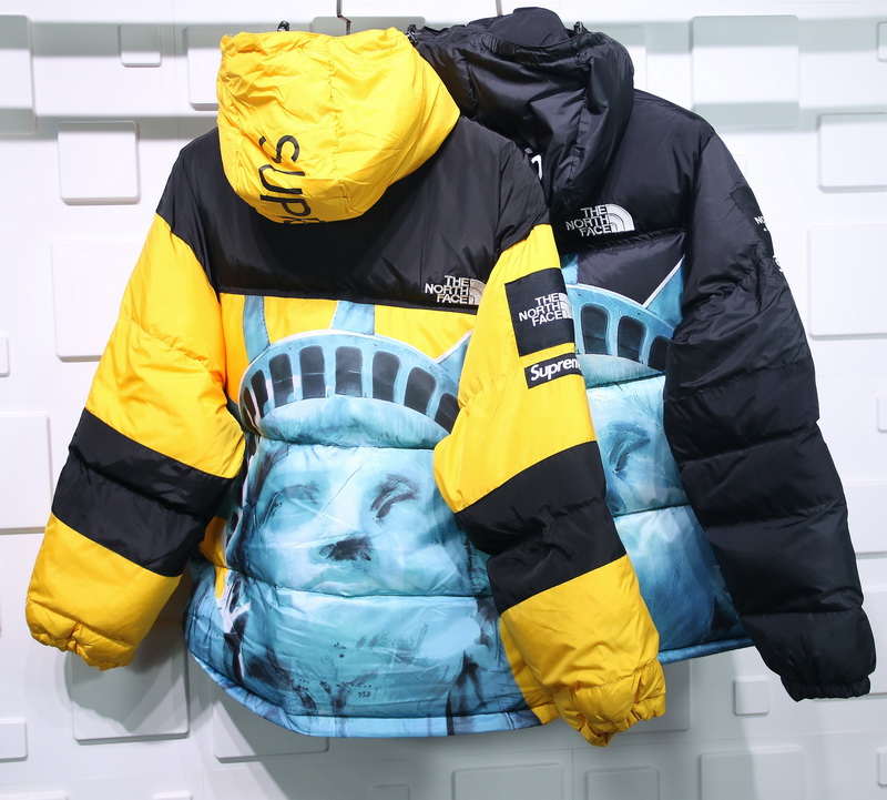 Supreme The North Face Liberty Goddess Down Jacket 2 - www.kickbulk.co