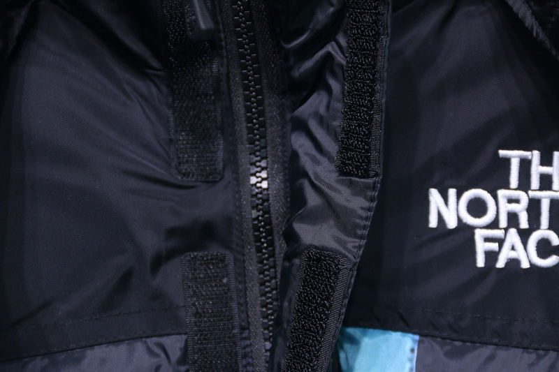 Supreme The North Face Liberty Goddess Down Jacket 26 - www.kickbulk.co