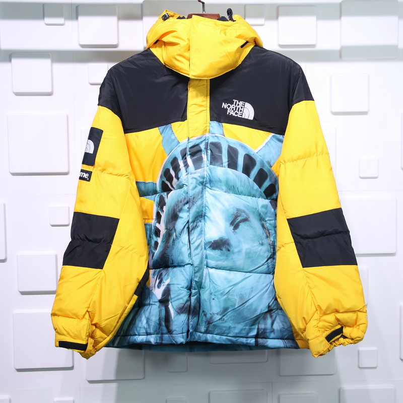 Supreme The North Face Liberty Goddess Down Jacket 3 - www.kickbulk.co