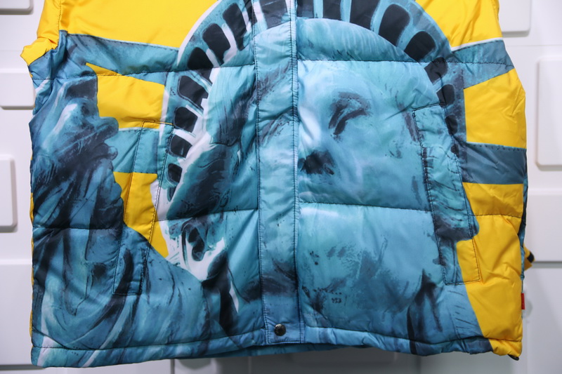 Supreme The North Face Liberty Goddess Down Jacket 5 - www.kickbulk.co