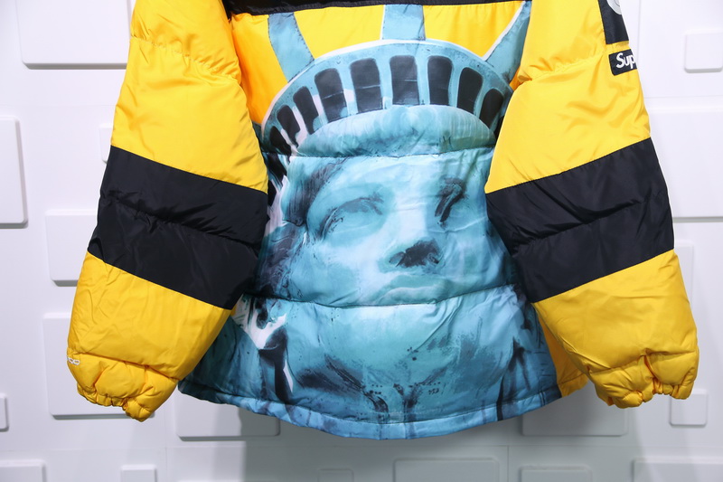 Supreme The North Face Liberty Goddess Down Jacket 6 - www.kickbulk.co